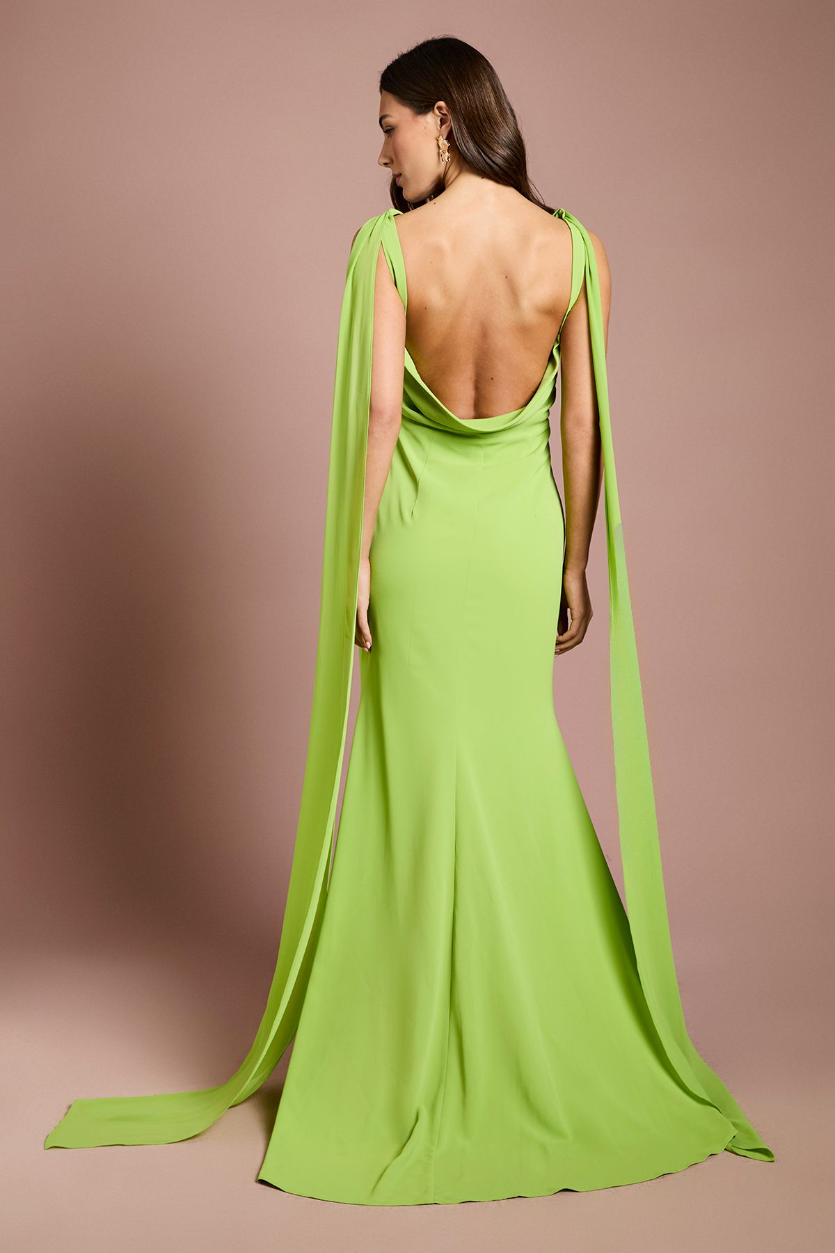 Coast Chiffon Detail Cowl Back Crepe Maxi Dress Lime image 3