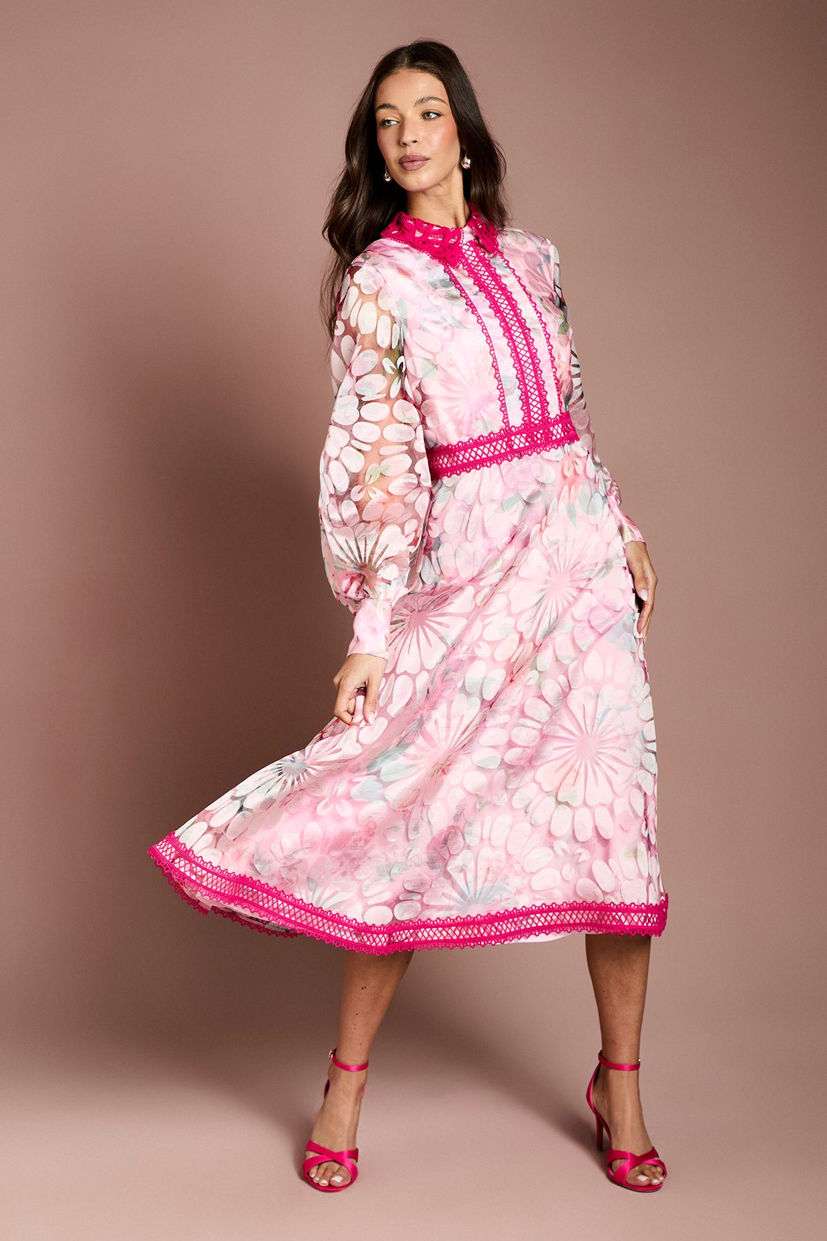 Coast Printed Organza Contrast Collar Lace Trim Midi Dress Pink image 1