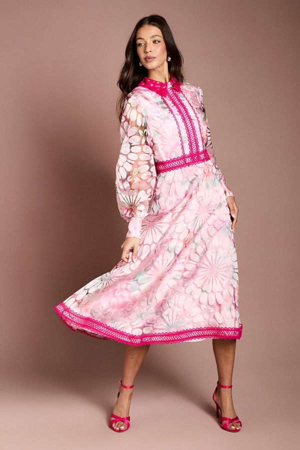 Coast Printed Organza Contrast Collar Lace Trim Midi Dress Pink