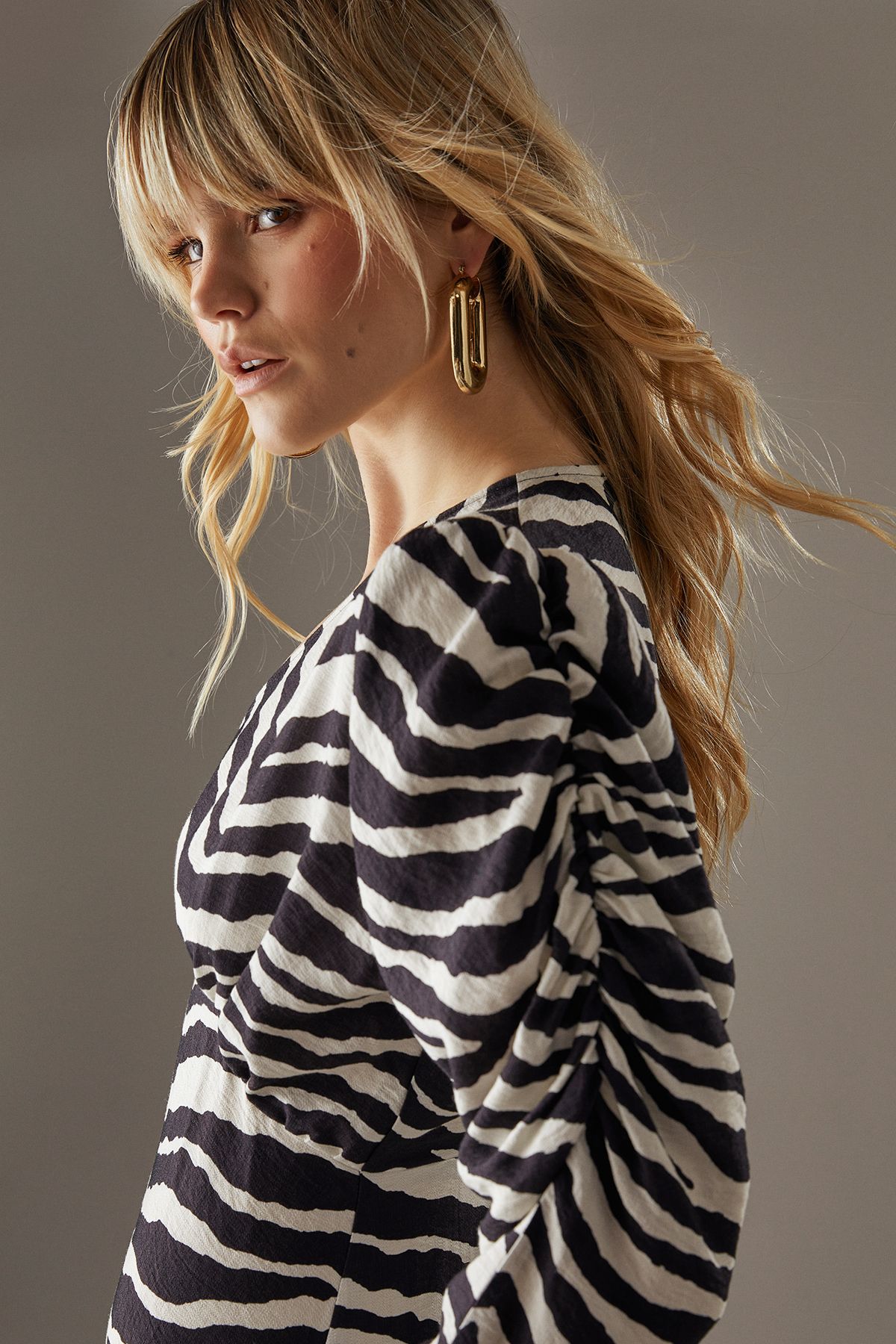 Warehouse Zebra Viscose V Neck Long Puff Sleeve Midi Dress Zebra image 4