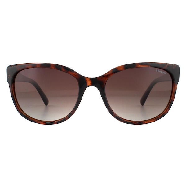 Polaroid Cat Eye Dark Havana Glitter Brown Gradient Polarized Sunglasses