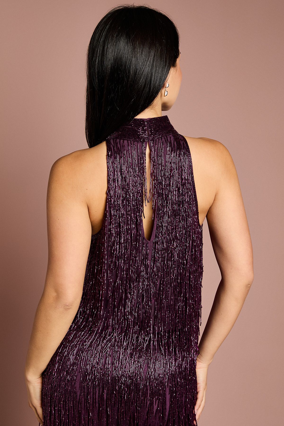 Coast Petite High Neck Embellished Fringe Top Plum image 3