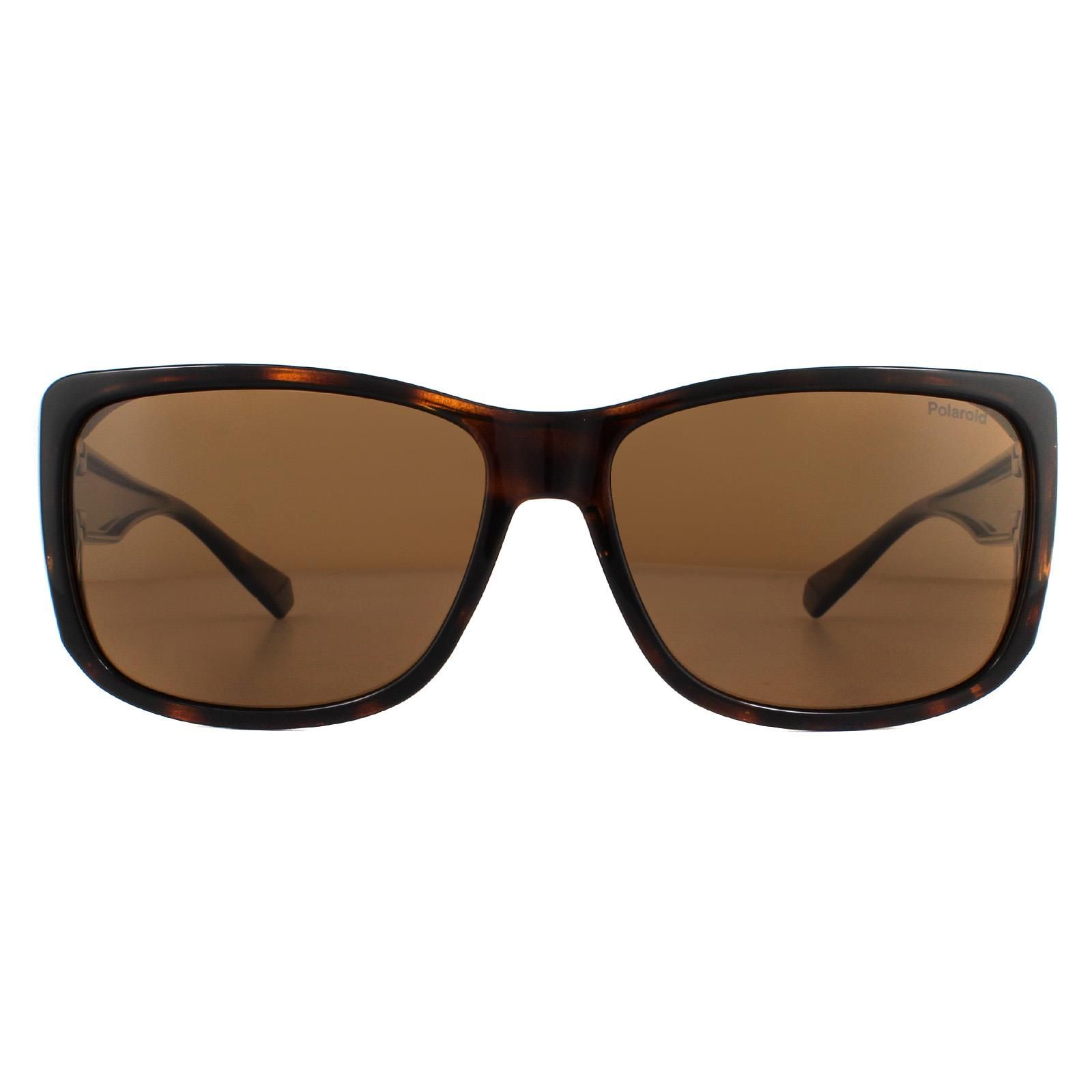 Polaroid Suncovers Wrap Havana Brown Copper Polarized Sunglasses