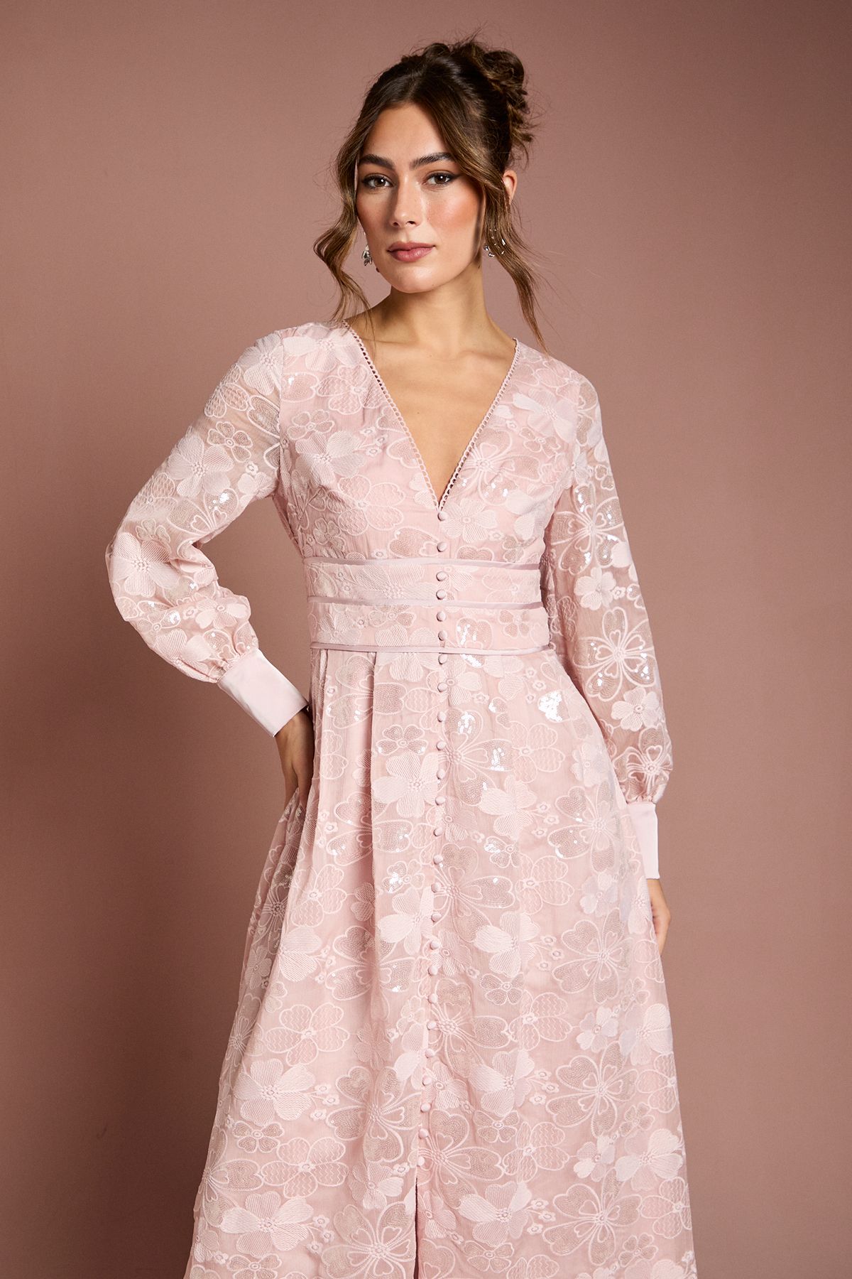 Coast Blouson Sleeve V Neck Sequin Floral Mesh Midaxi Dress Blush image 2