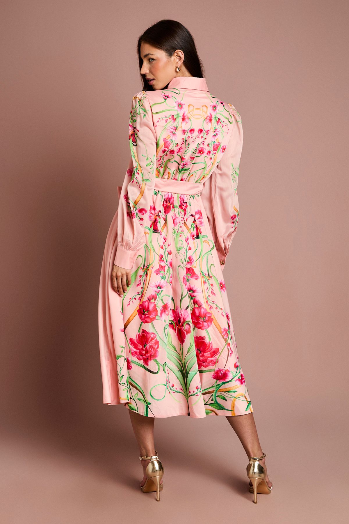 Coast Boarder Print Organza Shirt Dress Blush image 3