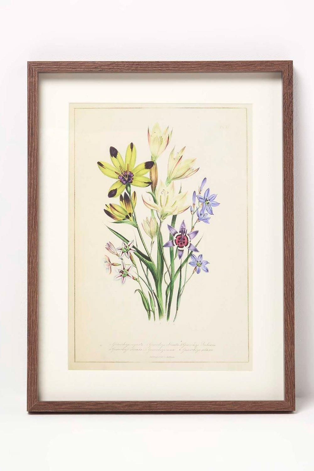 Homescapes Wall Decoration Set of 3 Frames with Picture, Wildflowers image 2