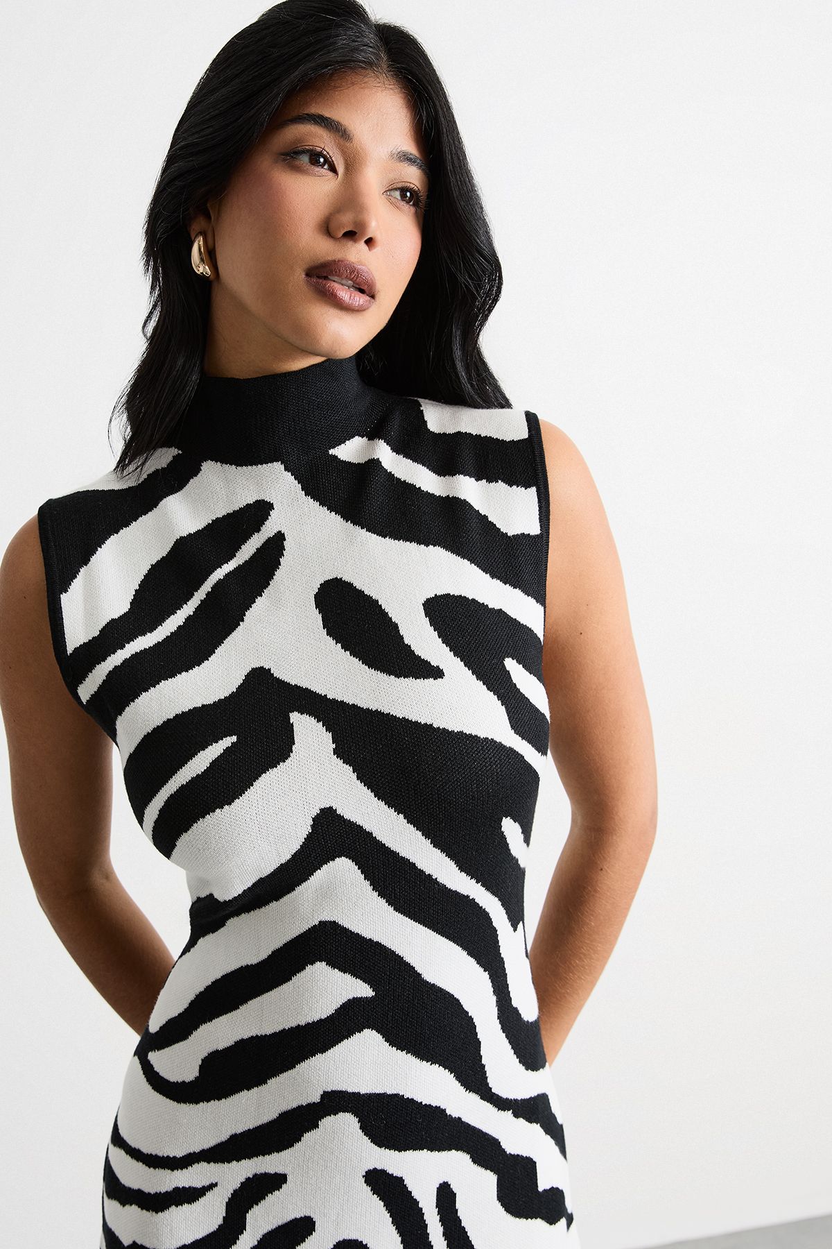 Warehouse Animal Zebra Jaquard Knitted Midi Dress Zebra image 2