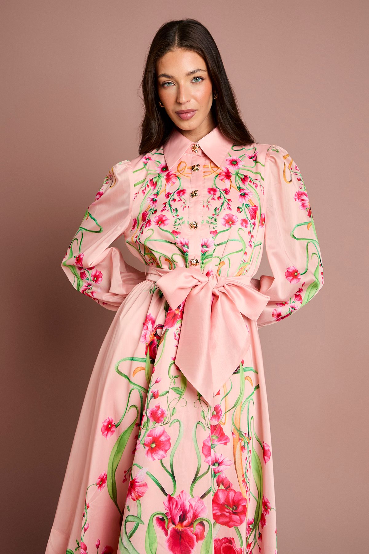 Coast Boarder Print Organza Shirt Dress Blush image 2