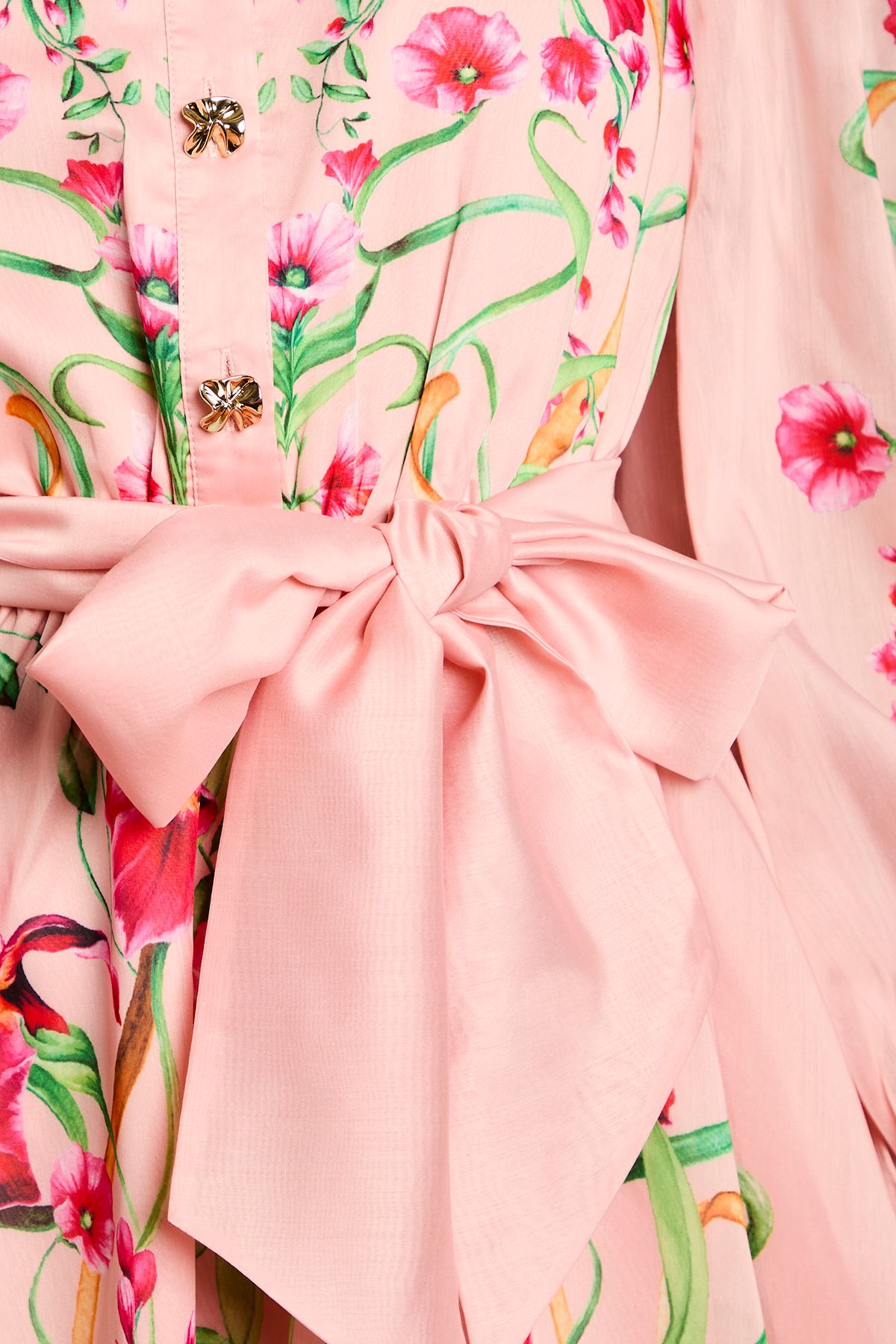 Coast Boarder Print Organza Shirt Dress Blush image 5