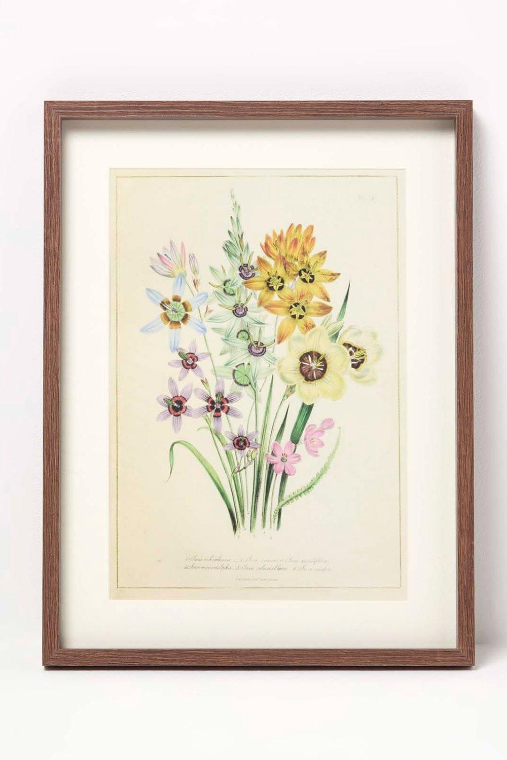 Homescapes Wall Decoration Set of 3 Frames with Picture, Wildflowers image 3