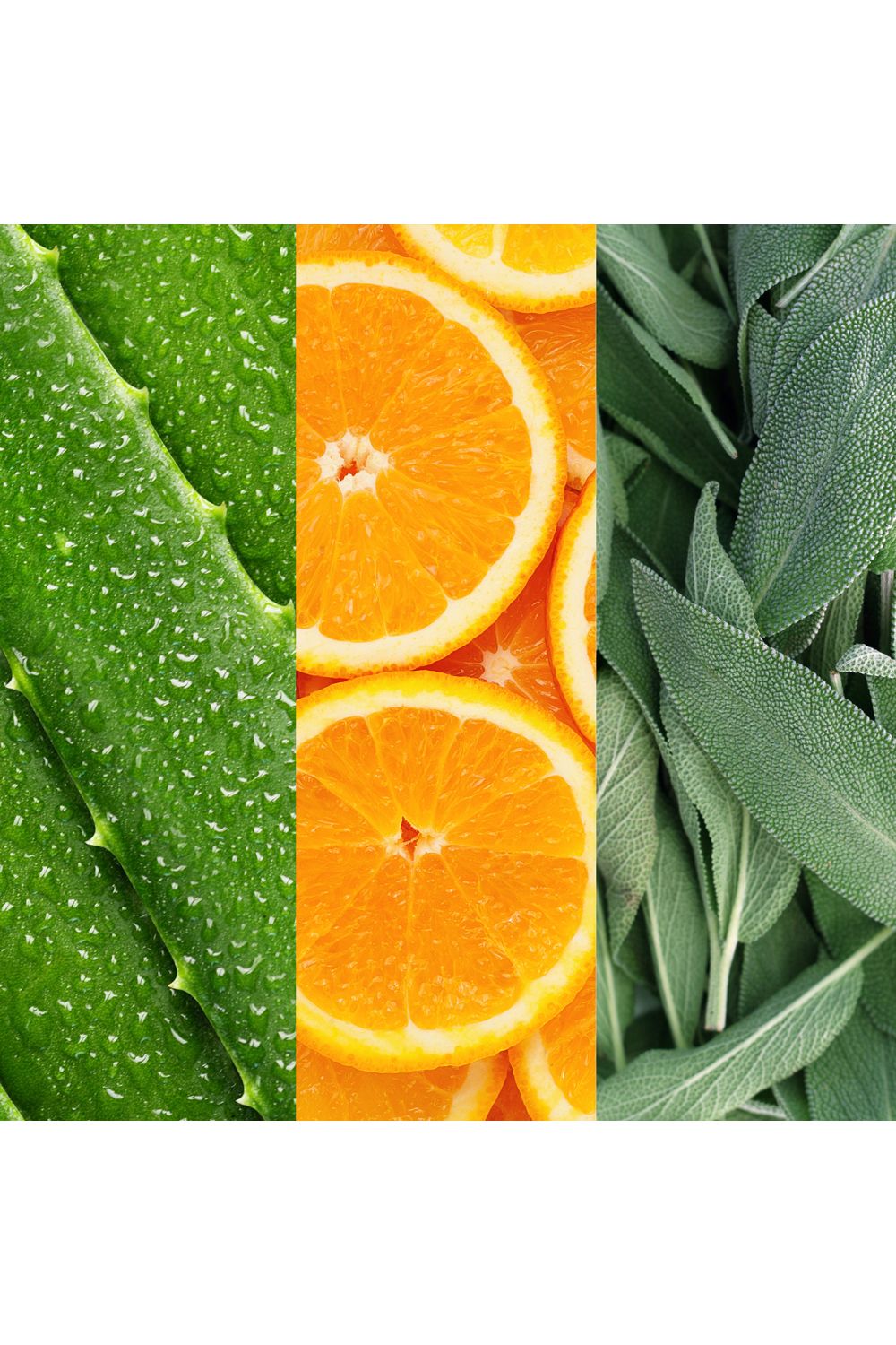 Mario Badescu Facial Spray with Aloe Sage & Orange Blossom 59ml Multi image 4