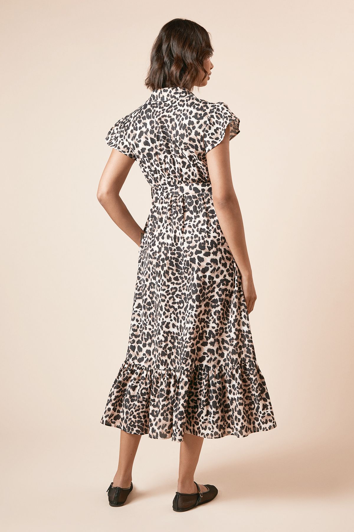 Dorothy Perkins Leopard Frill Sleeve Belted Midi Shirt Dress Leopard image 4