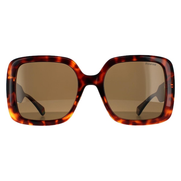 Polaroid Square Dark Havana Bronze Polarized Sunglasses