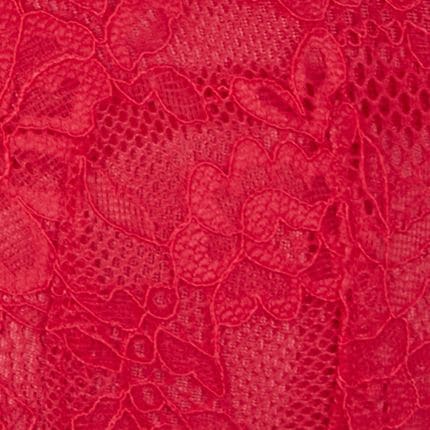 Ann Summers Sexy Lace Padded Balcony Bra image 5