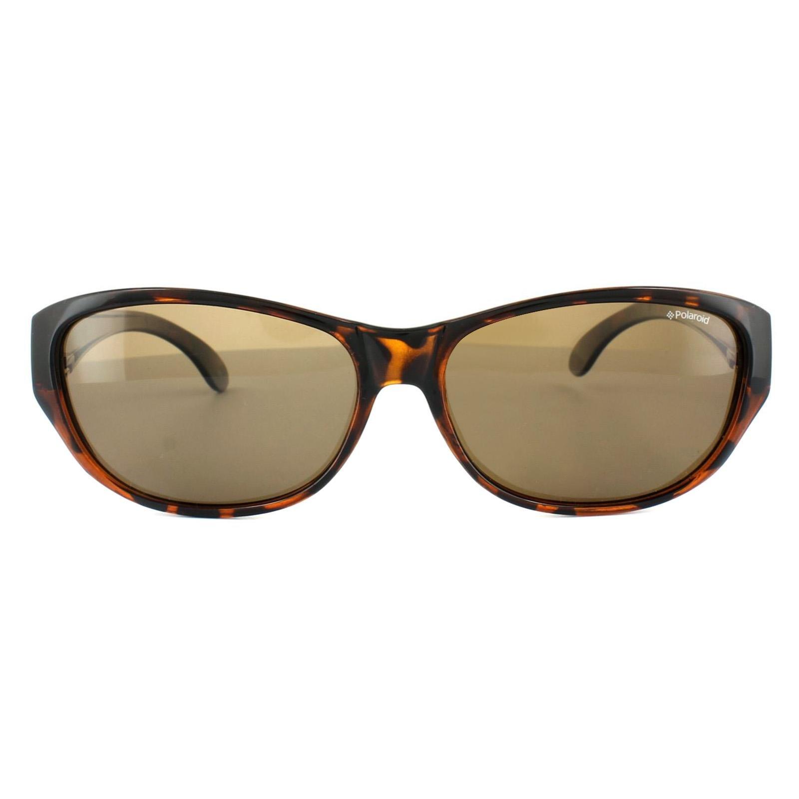 Polaroid Brown Plastic Sunglasses main image 0