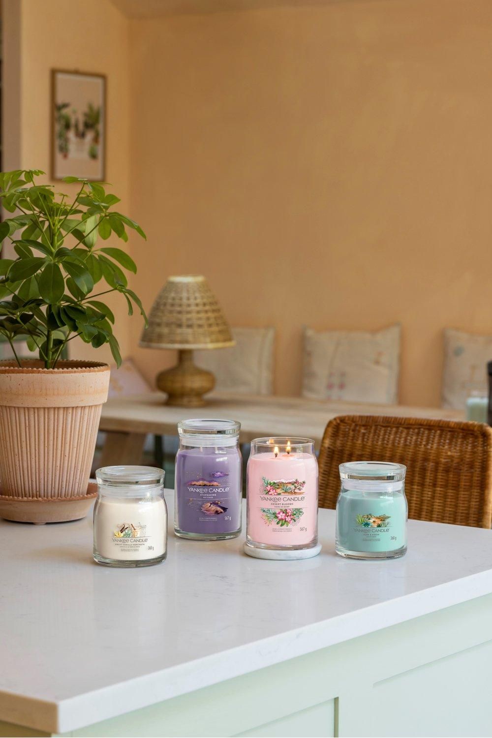 Yankee Candle Signature medium jar sweet vanilla horchata Multi image 2