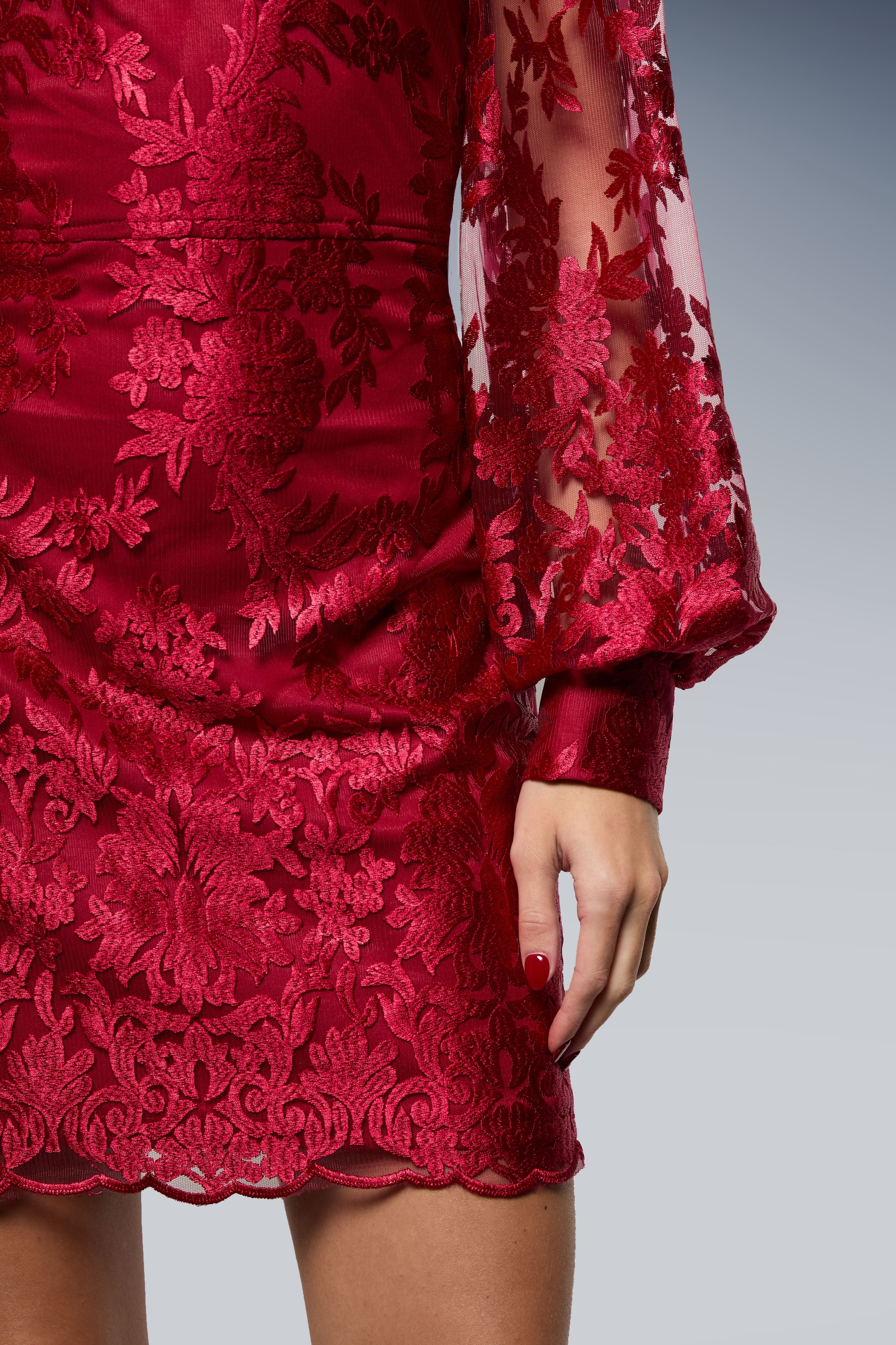 Oasis Embroidered Mesh Sweetheart Neck Mini Dress Berry image 4