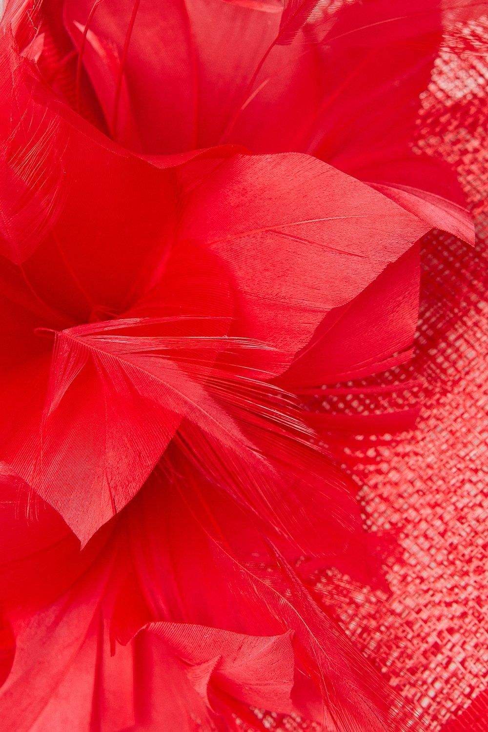 Coast Feather Flower Curved Fascinator Red image 3