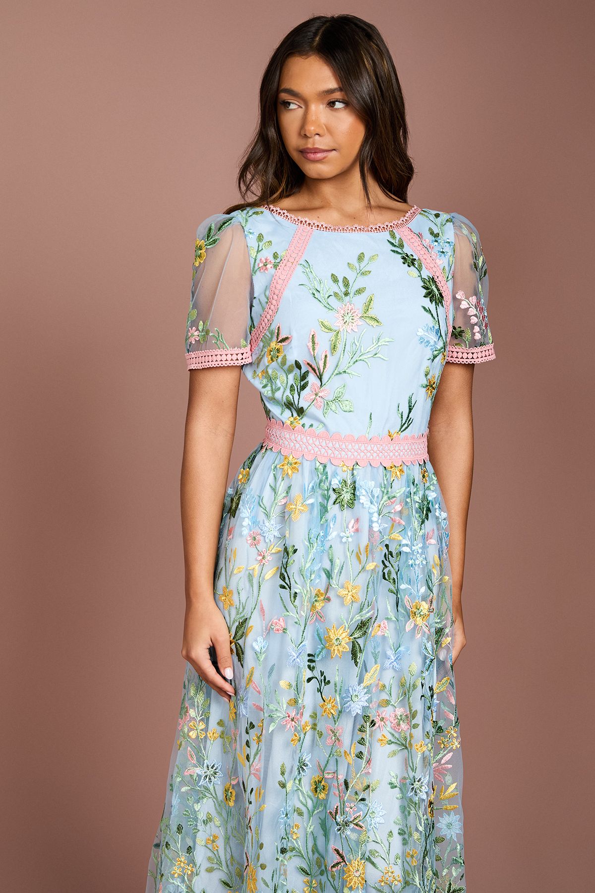 Coast Lace Trim Detail Embroidered Mesh Midi Dress Yellow image 2