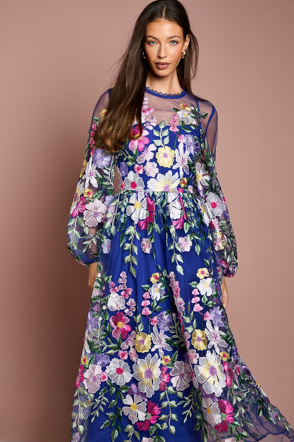 Coast Coast Muse Long Sleeve Embroidered Maxi Dress Blue image 2