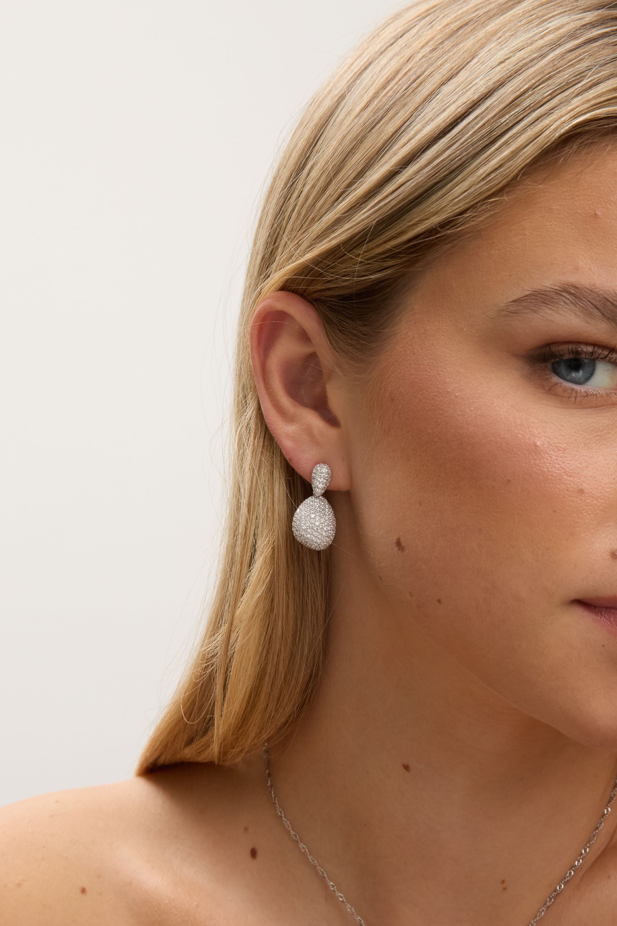 Jon Richard Rhodium Plated and Cubic Zirconia Drop Dome Earrings - Gift Box image 3