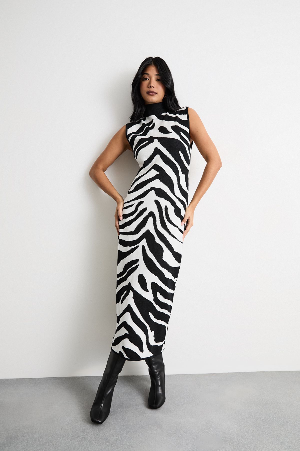 Warehouse Animal Zebra Jaquard Knitted Midi Dress Zebra image 1