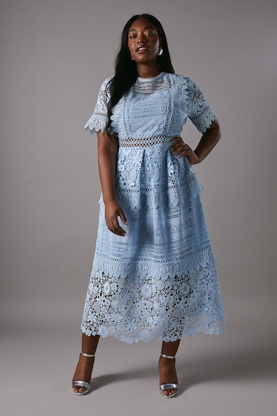 Coast Plus Short Sleeve Lace Midi Dress Powder Blue