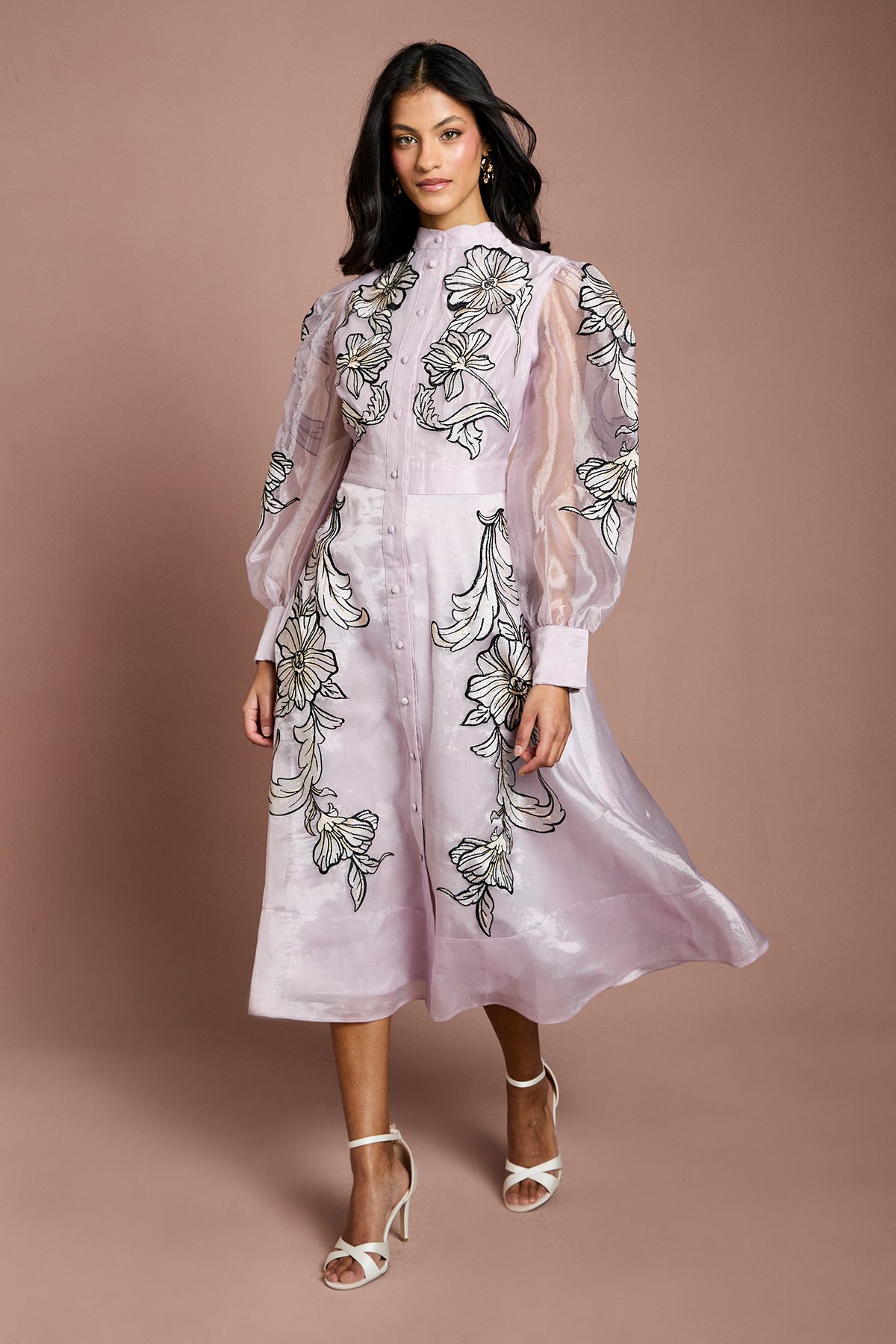 Coast Petite Placement Embroidered Long Sleeve Midi Dress Blush
