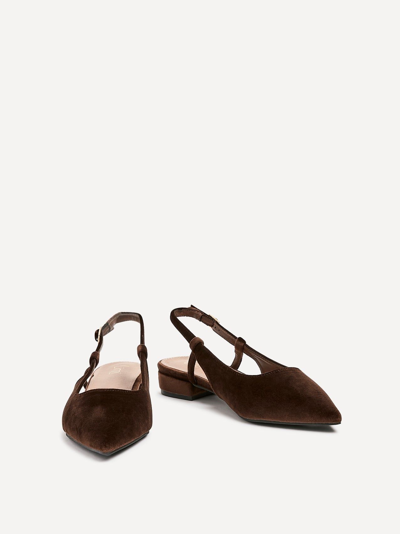 Linzi Clasica Brown Velvet Pointed Toe Ballet Flat image 4