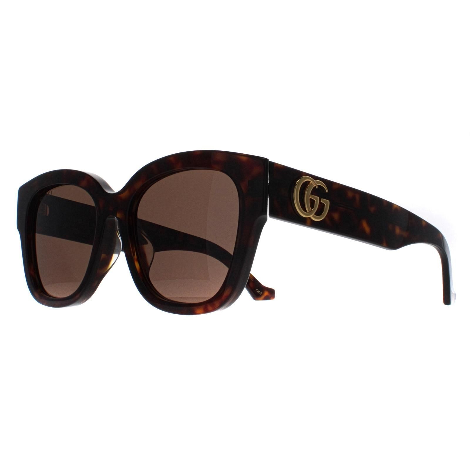 Gucci Butterfly Havana Brown GG1550SK image 2