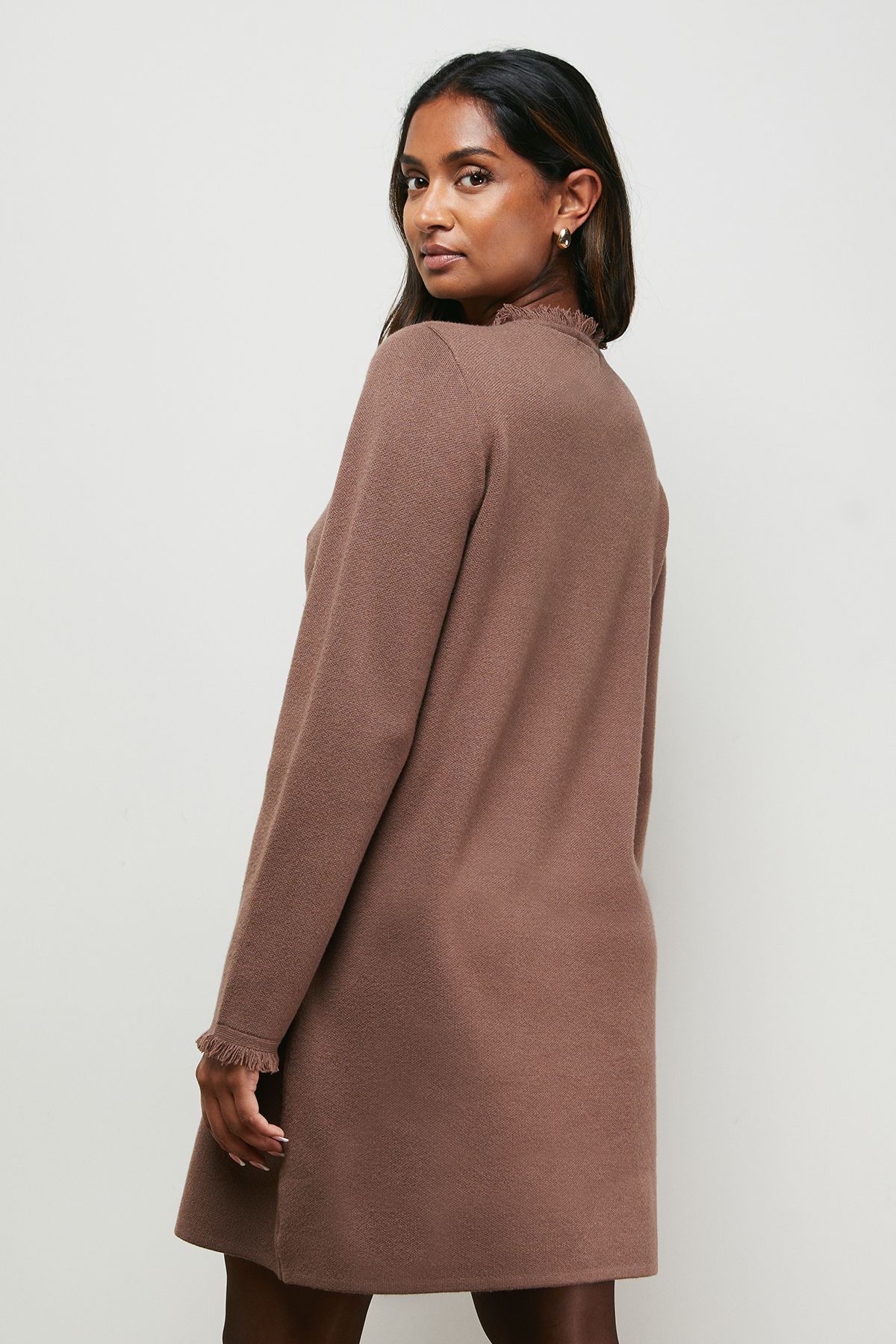 Oasis Fringe Detail Crew Neck Mini Dress Mocha image 3