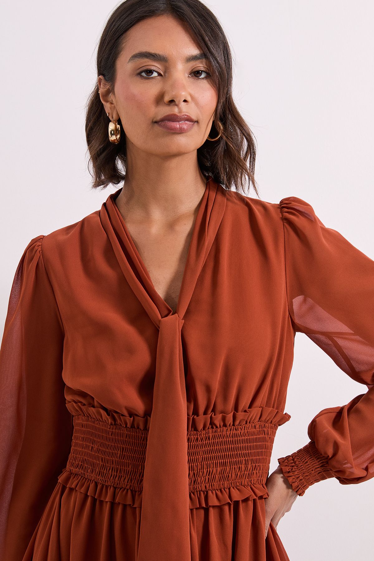 Dorothy Perkins Bow Tie Neck Detail Shirred Waist Midi Dress Brown image 4