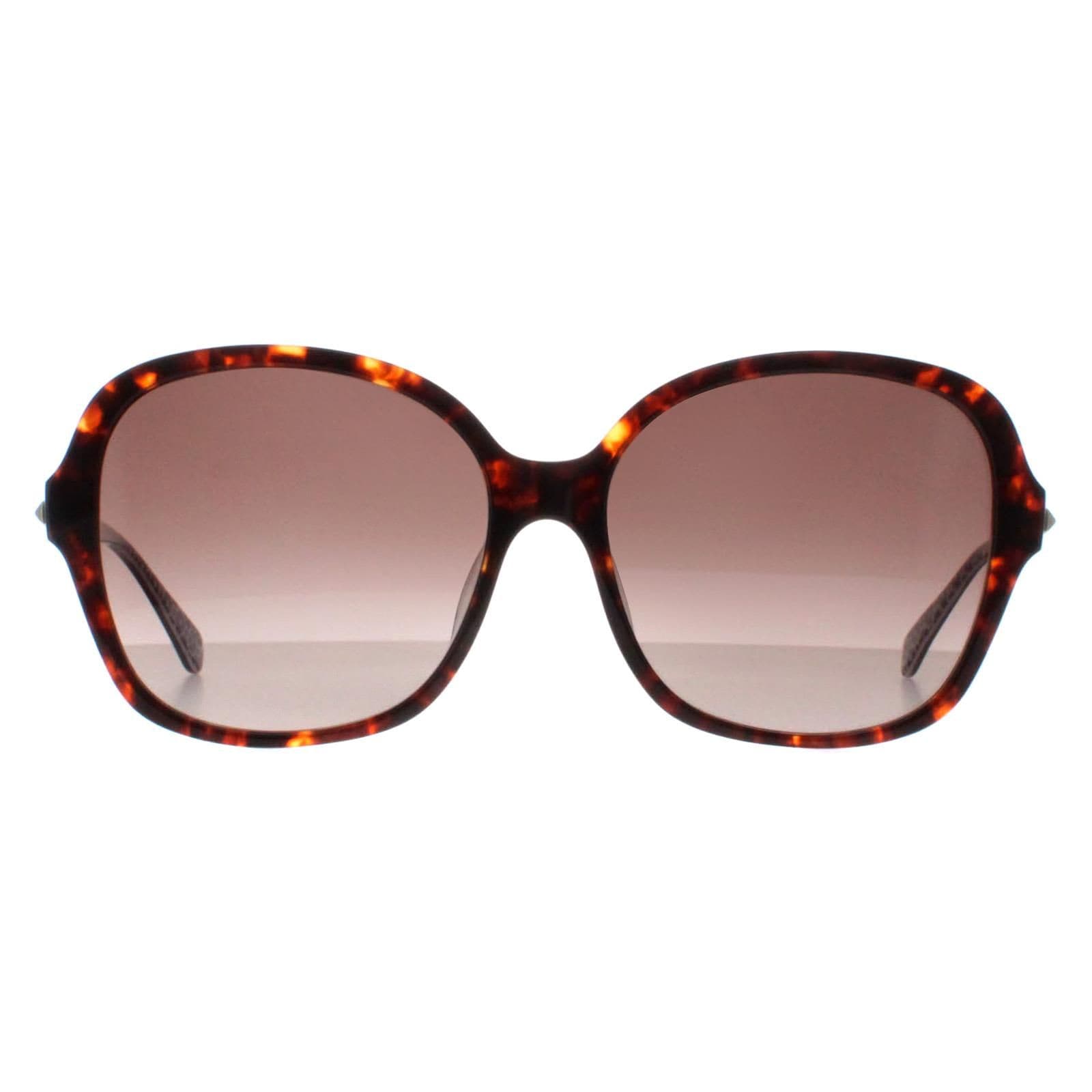 Kate Spade Buttefly Havana  Brown Gradient Kaiya/F/S image 1