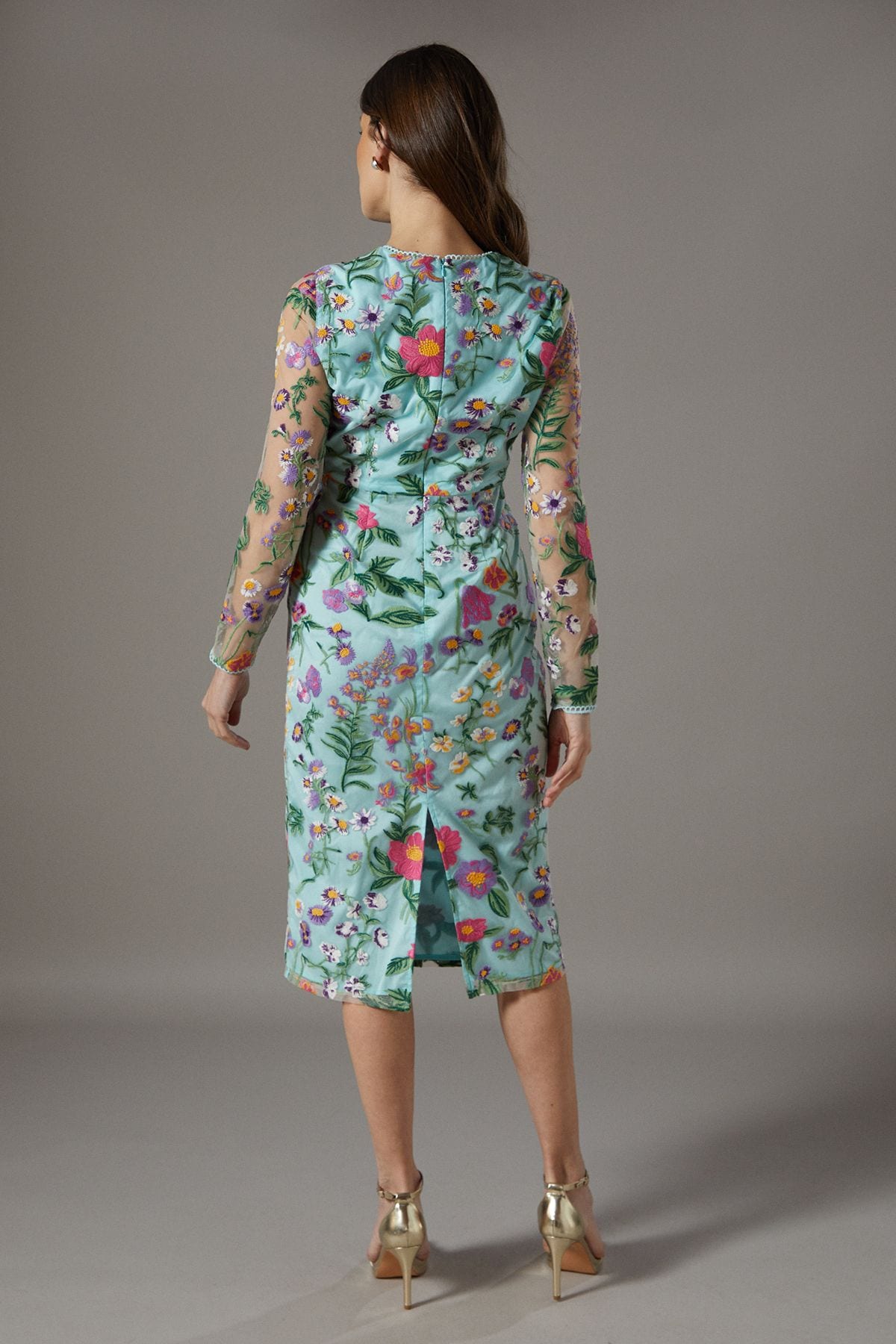 Coast Embroidered Floral Mesh Pencil Dress Blue image 3
