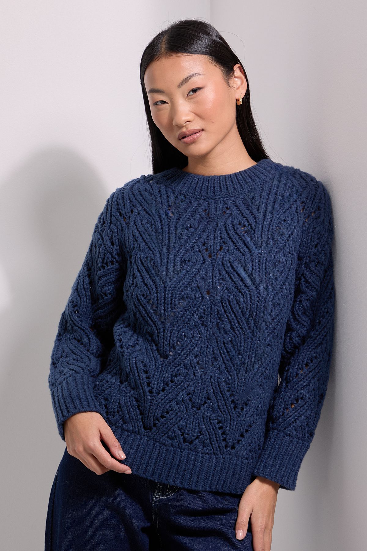 Dorothy Perkins Petite Cable Pointelle Crew Neck Jumper Navy image 2