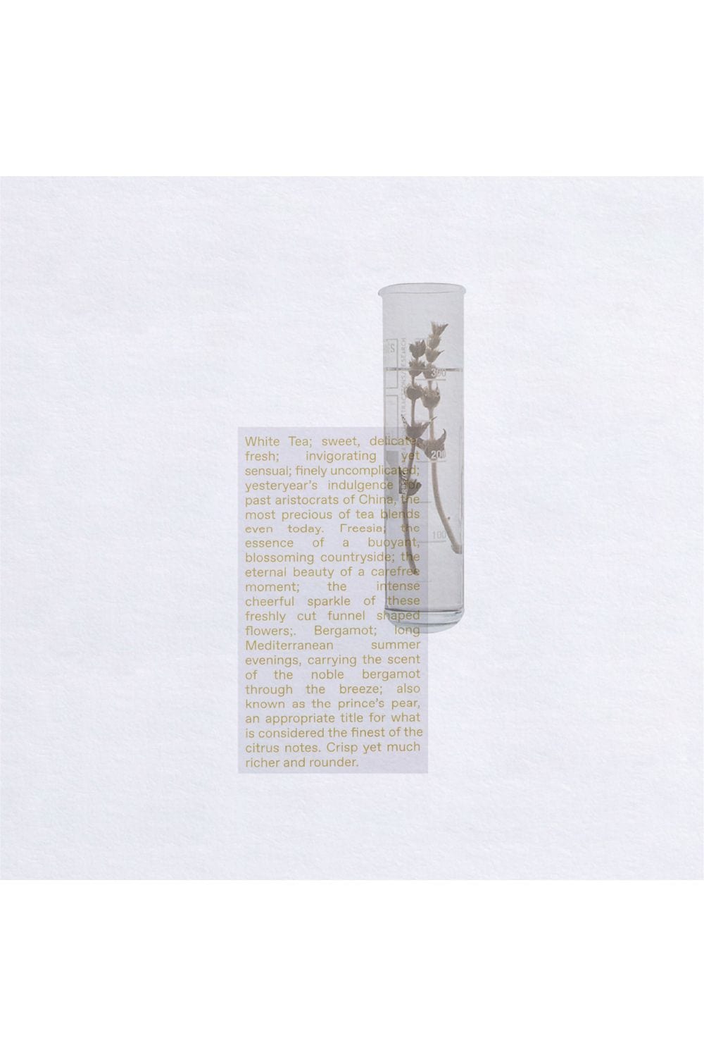 Korres White Tea Eau De Toilette 100ml Misc image 3