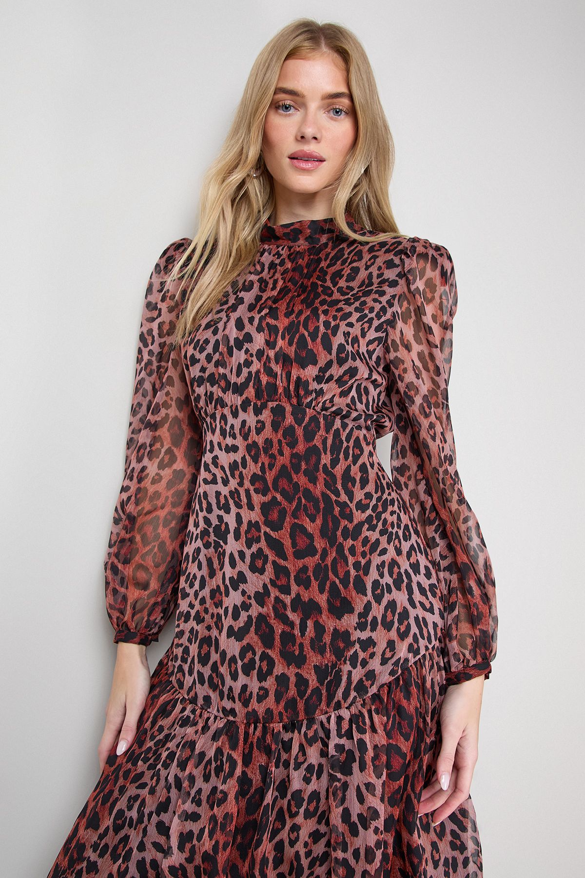 Oasis Printed Dropped Curved Waist Long Sleeve Maxi Dress Animal image 2
