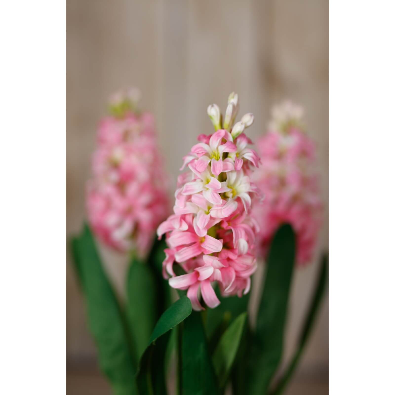 Sostter Pink Hyacinth Stem Spray image 5