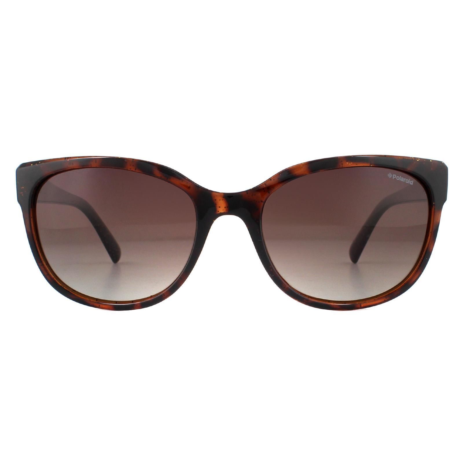 Polaroid Cat Eye Dark Havana Glitter Brown Gradient Polarized Sunglasses image 1