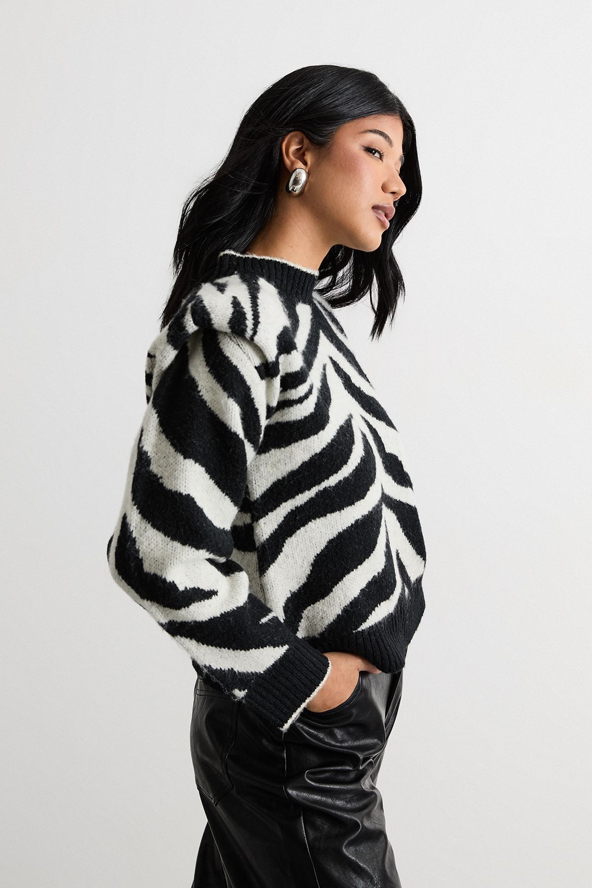Warehouse Animal Zebra Jacquard Jumper Zebra