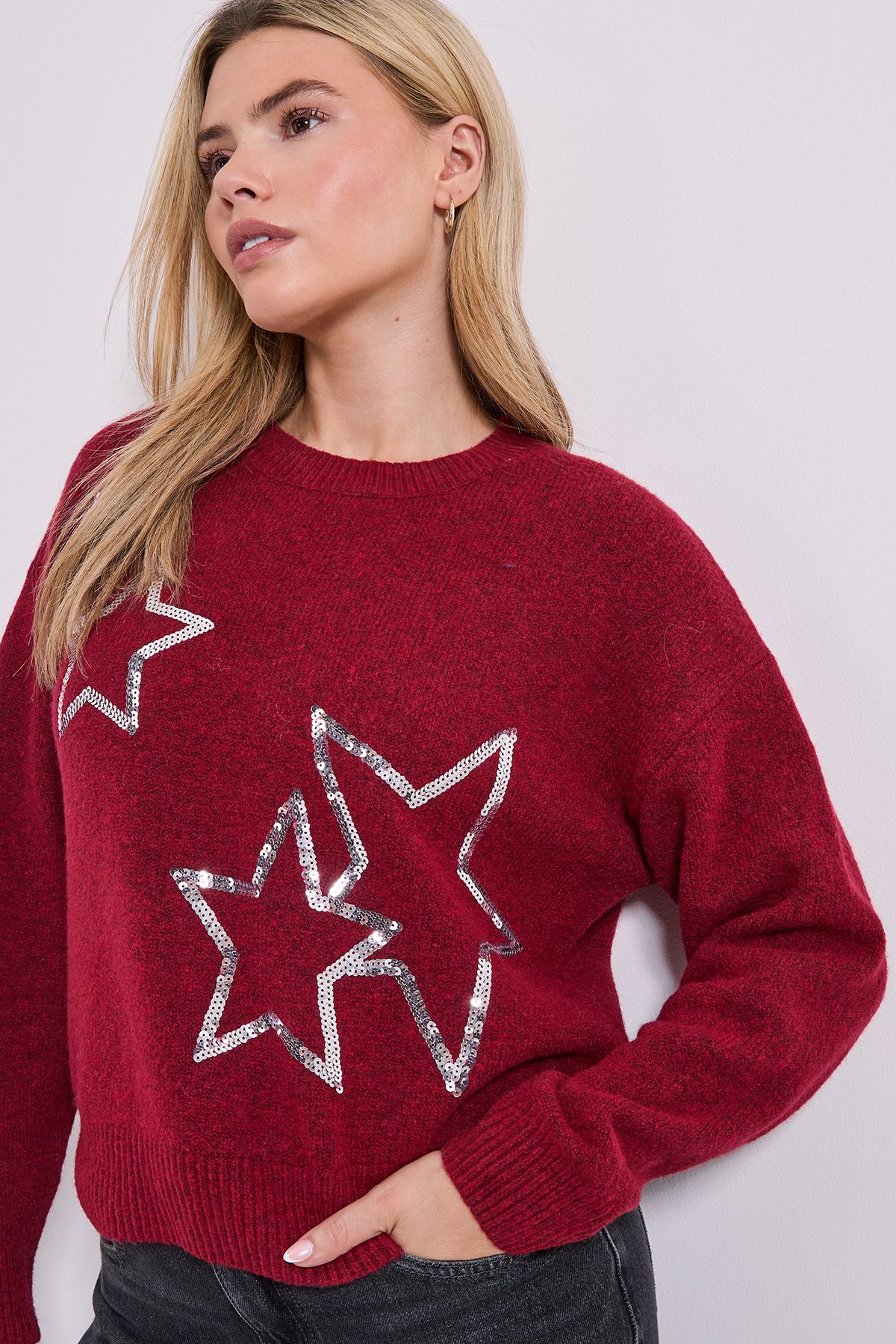 Dorothy Perkins Star Detail Jumper Cranberry image 4
