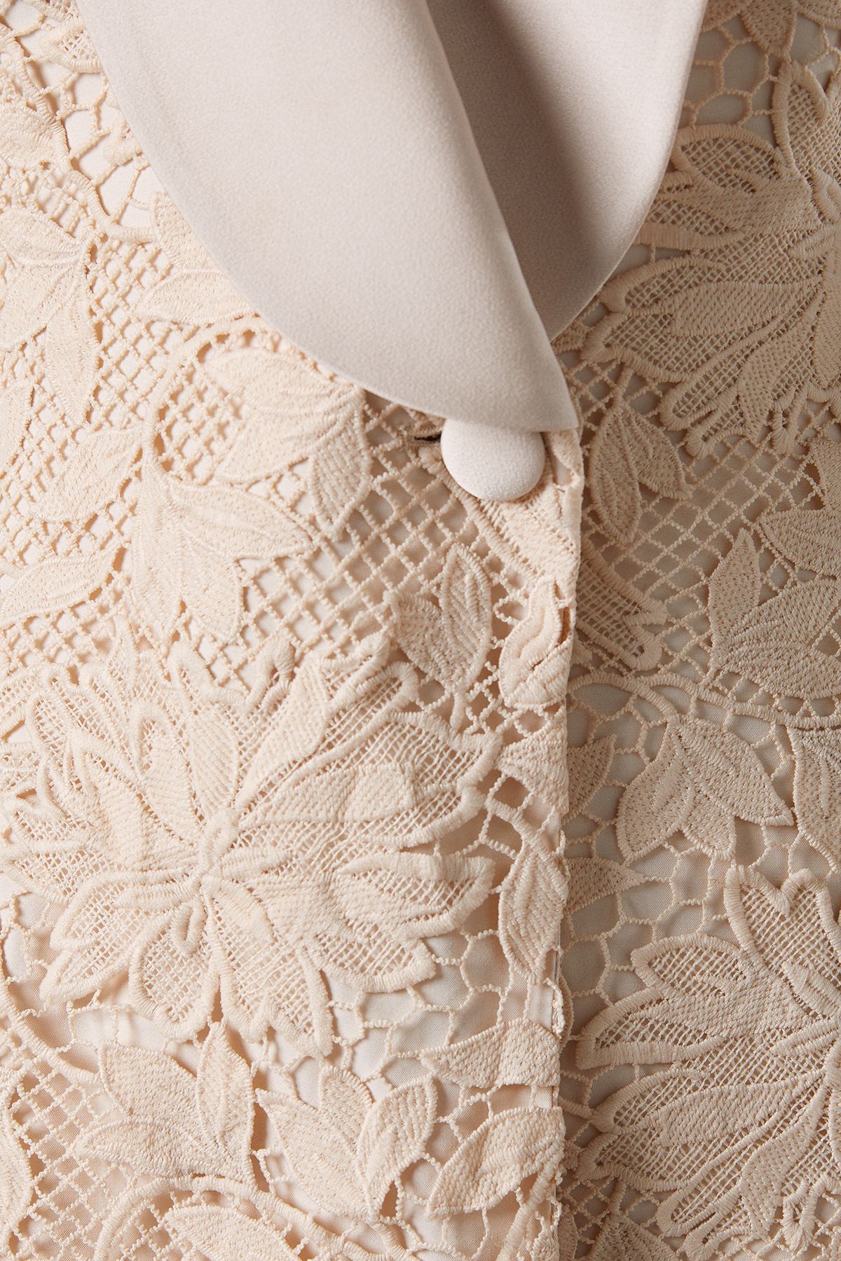 Coast Lace Double Breasted Blazer With Satin Lapel Champagne image 5