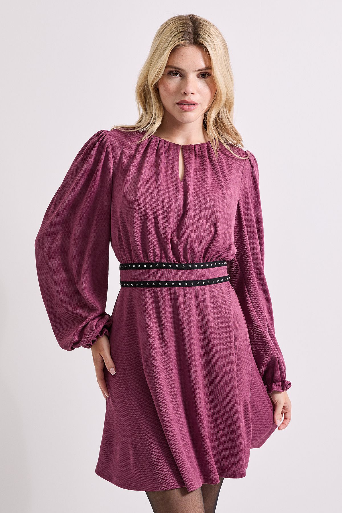 Dorothy Perkins Stud Detail Waist Jersey Mini Dress Berry image 1