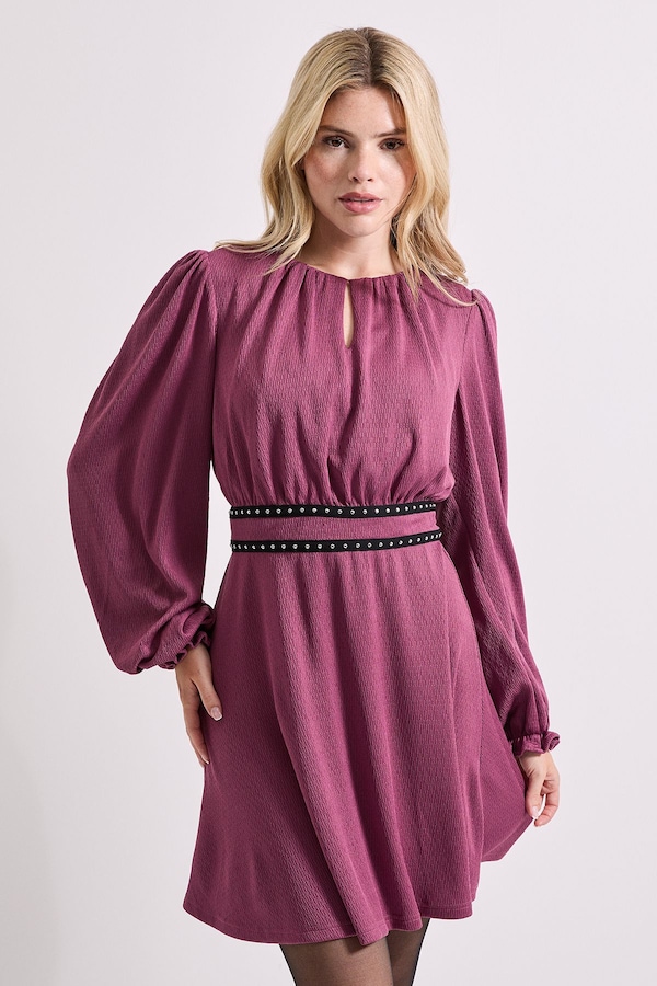 Dorothy Perkins Stud Detail Waist Jersey Mini Dress Berry