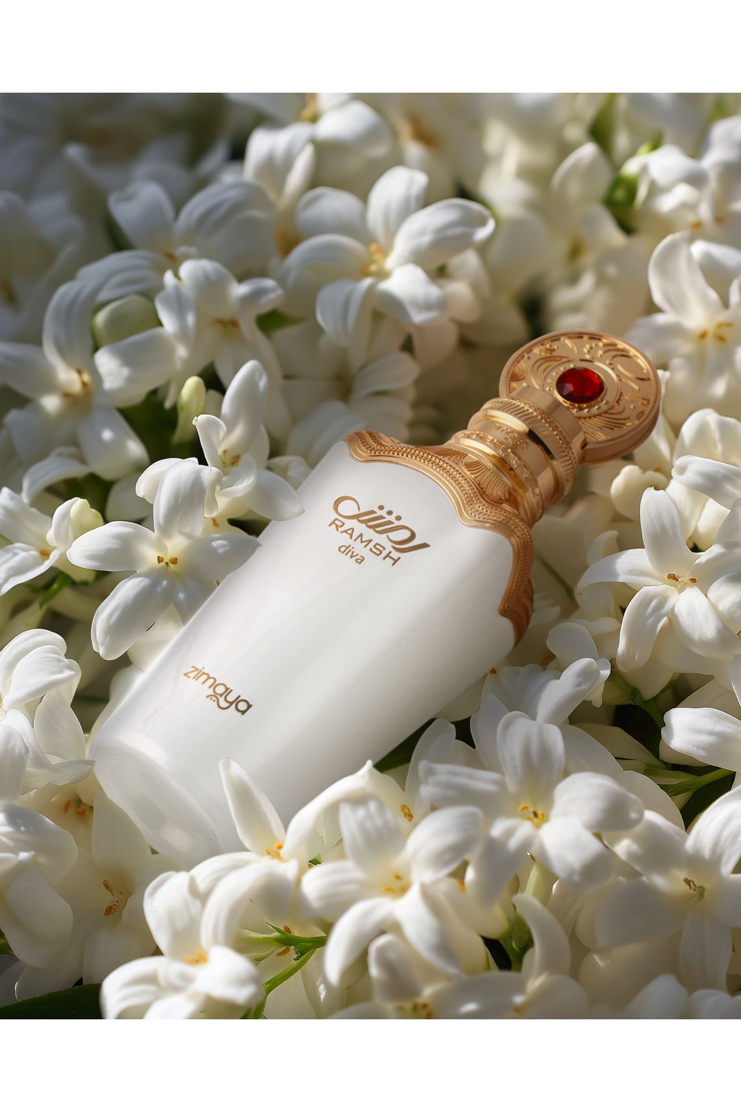 Zimaya Ramsh White Misc image 4