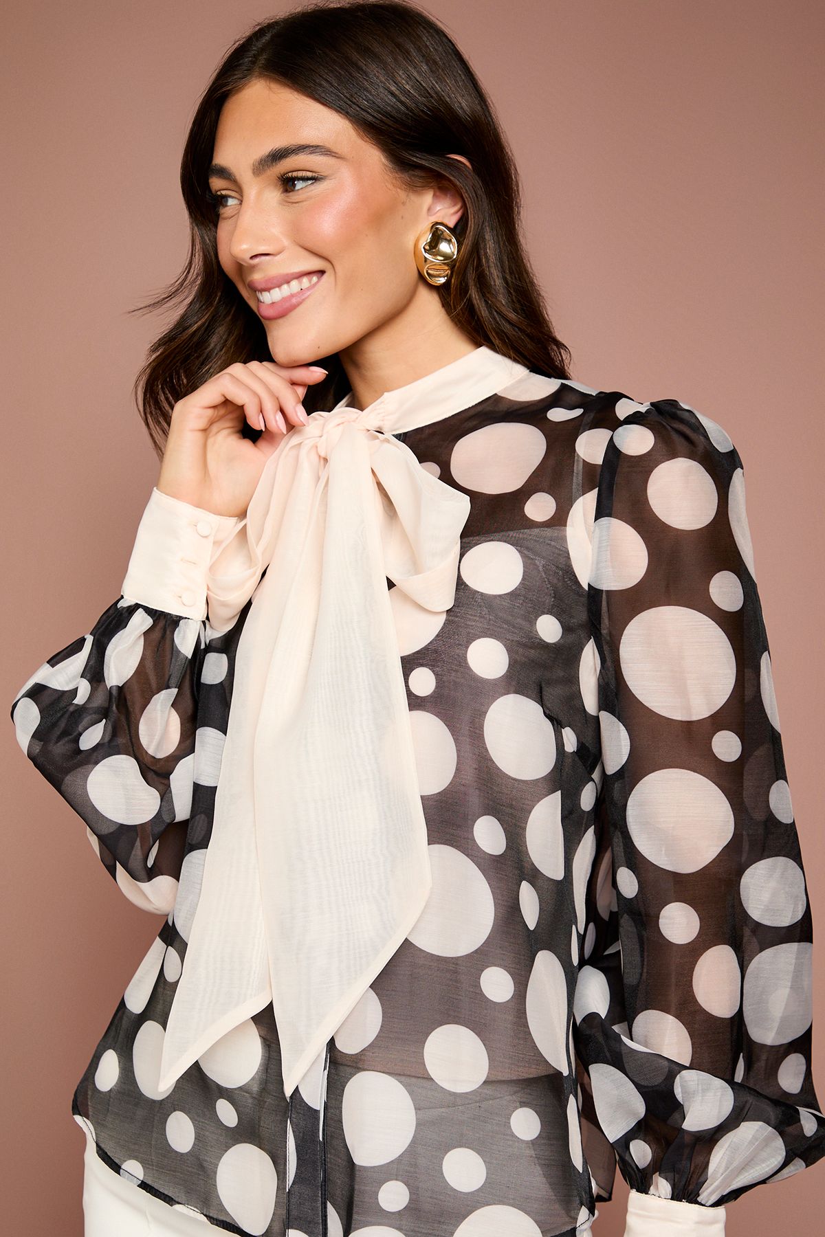 Coast Lisa Tan Bow Neck Blouson Sleeve Spot Print Blouse Mono image 4
