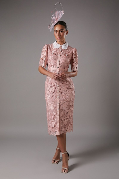 Coast Lace Shirt Dress Contrast Colour Blush