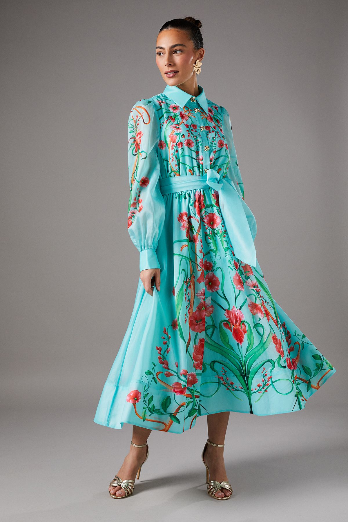 Coast Boarder Print Organza Shirt Dress Mint image 1