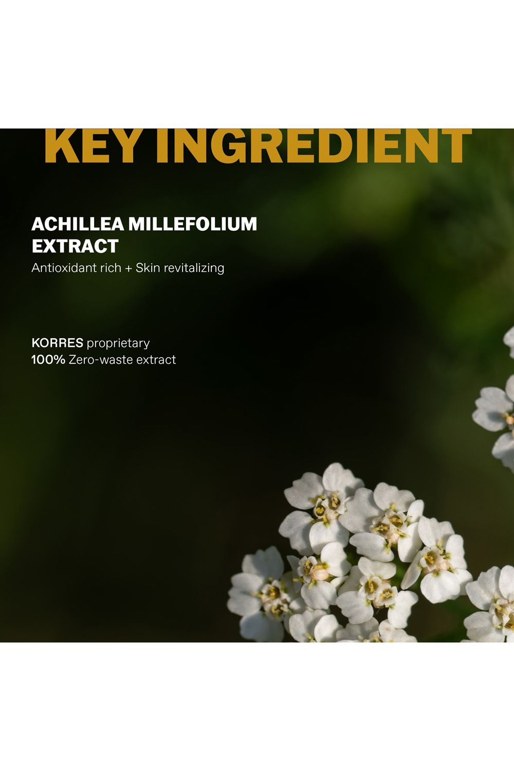 Korres Achillea Mens Face Cleanser 250ml Multi image 4