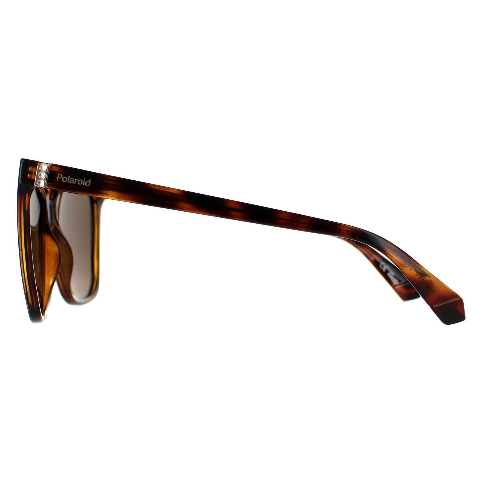 Polaroid Square Havana Bronze Polarized PLD 4155/S/X image 3